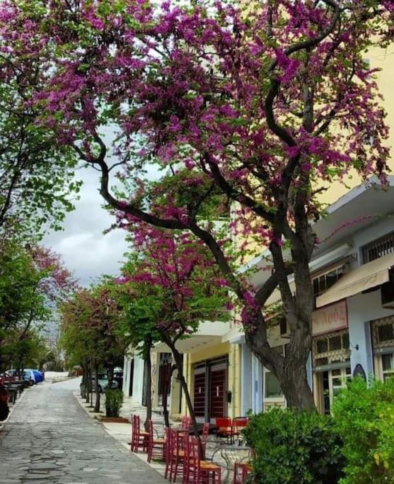 Bright Colourful Center *
