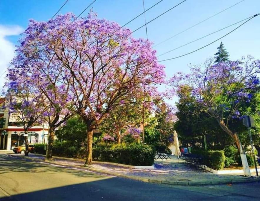 Bright Colourful Center Atenas